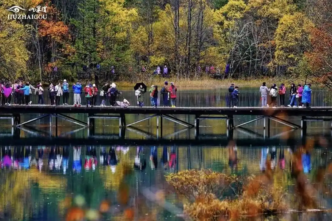 九寨沟门票连续5天售罄 在红叶彩林间遇见最美四川｜我心中的锦绣天府·安逸四川