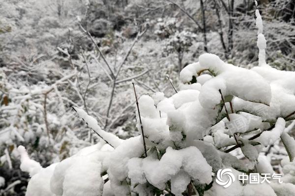寒潮发威！今天河南雨雪大风降温齐袭 明后天以晴为主气温升