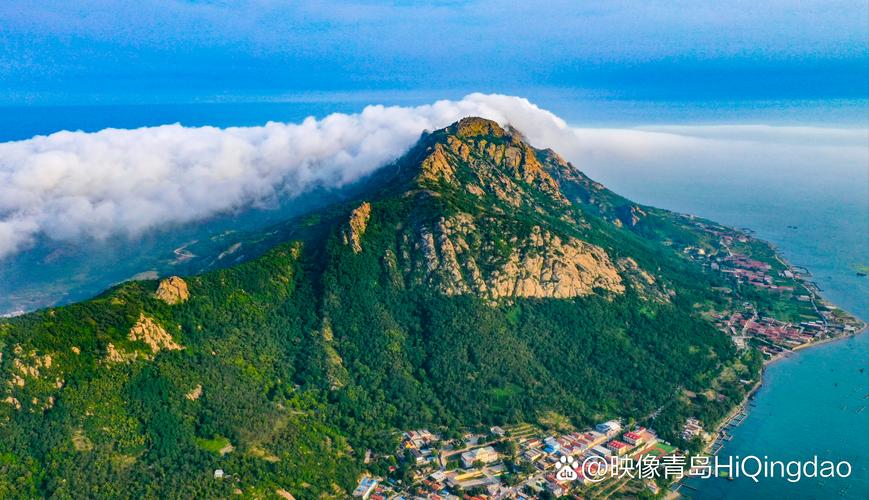 全市唯一！灵山岛保护区案例入选全省典型