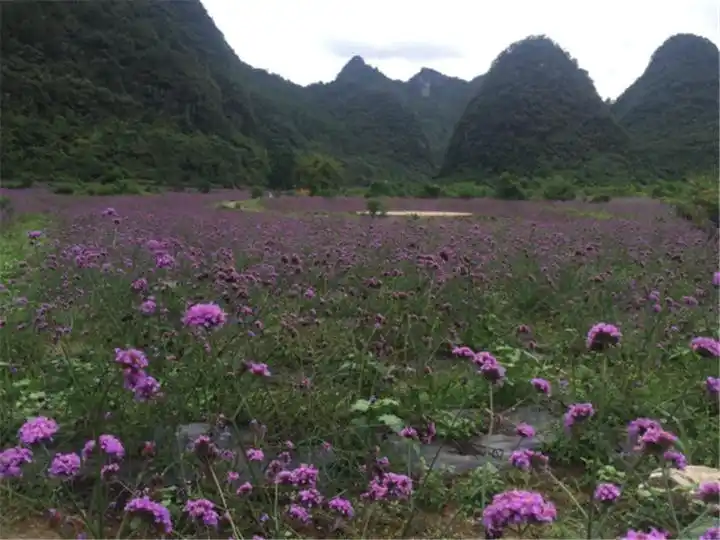 「天眼带你游贵州」国庆玩嗨·省内遛娃亲子酒店不完全攻略