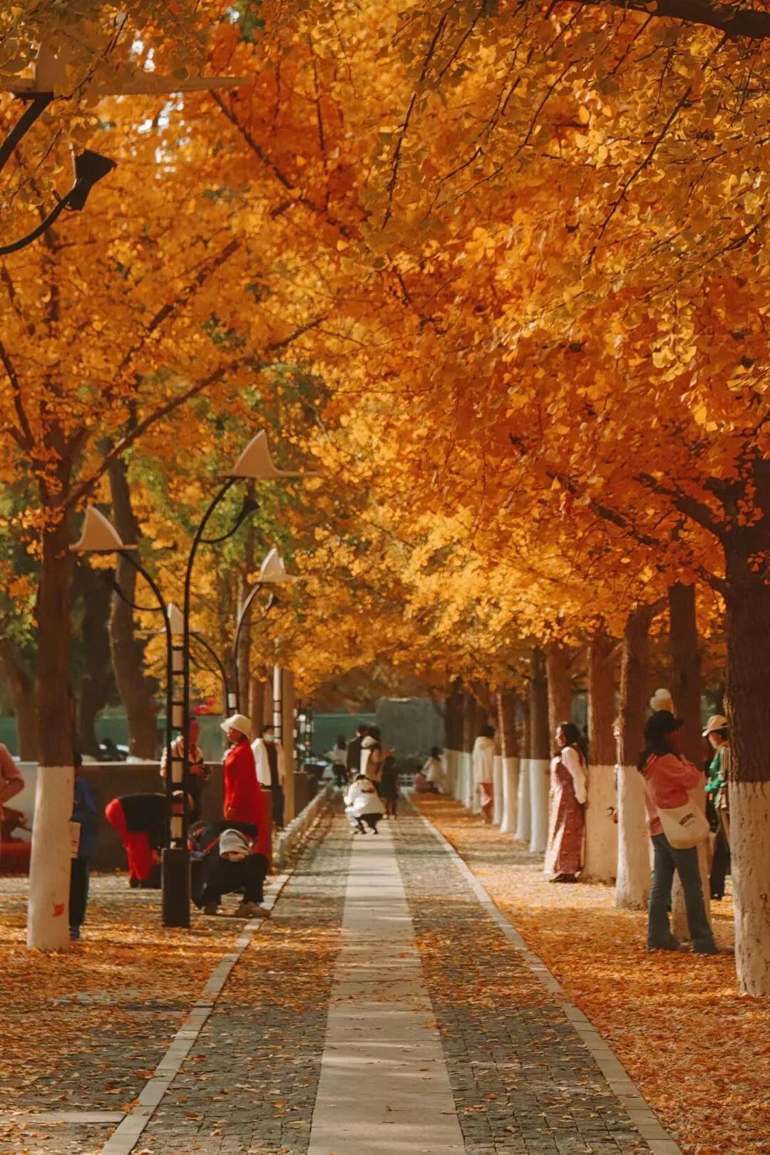 收藏！邂逅秦皇岛浪漫秋冬，这五条精品旅游线路发布！?