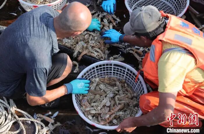 收藏！邂逅秦皇岛浪漫秋冬，这五条精品旅游线路发布！?