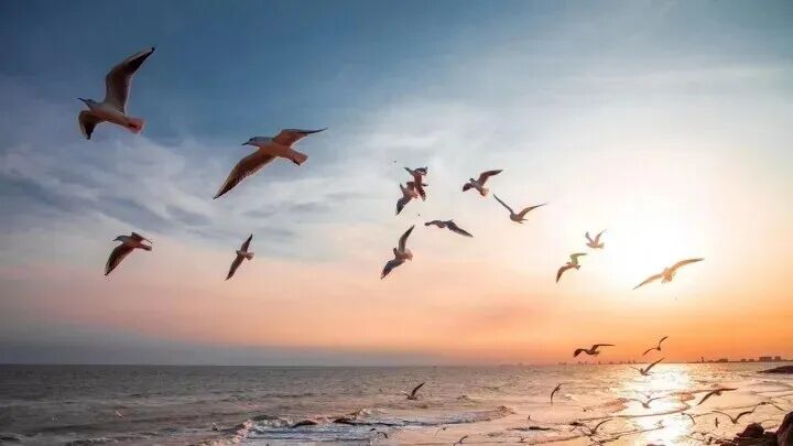 收藏！邂逅秦皇岛浪漫秋冬，这五条精品旅游线路发布！?