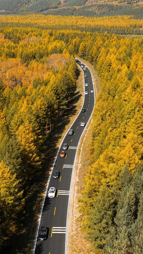 让自驾游美出新高度