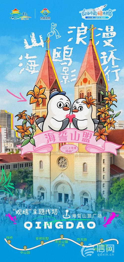 海鸥季观“鸥”专属路线来了