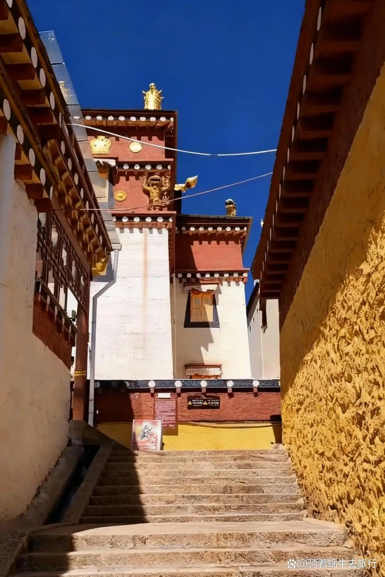 香格里拉已回，11～12月出行必看听劝指南来啦！