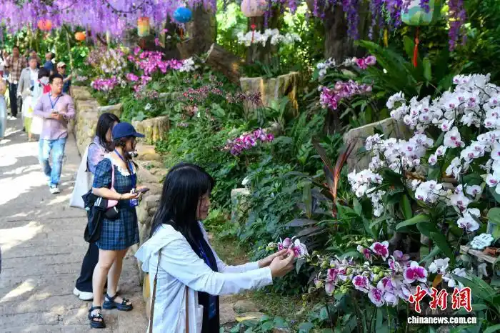 海外华媒海南行：亚龙湾畔热带雨林好风光