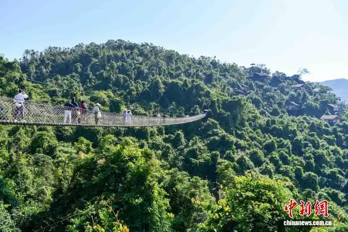 海外华媒海南行：亚龙湾畔热带雨林好风光