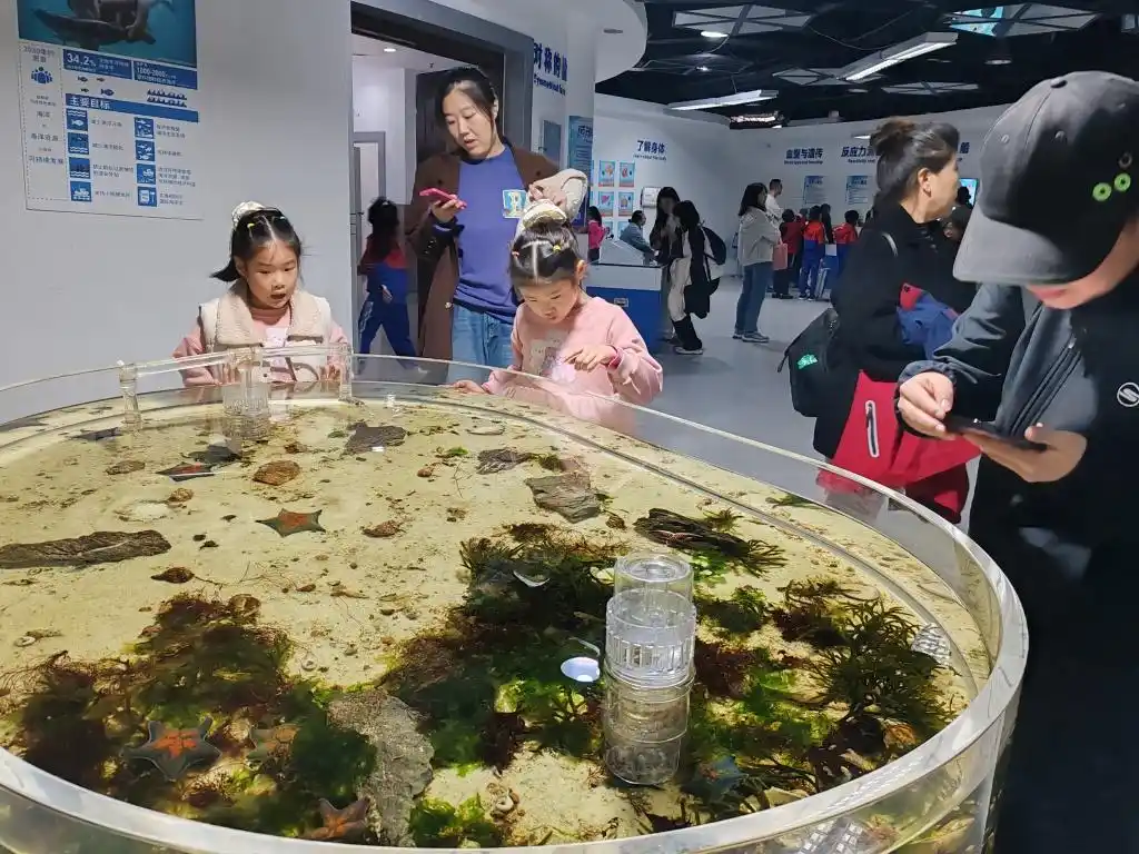 陪学陪玩家长，周末真够忙！