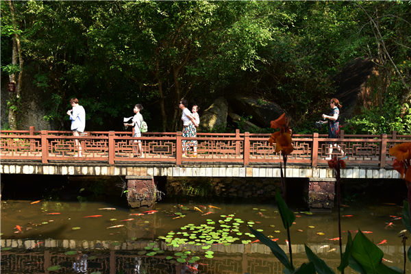 旅游景区明显苏复 三亚亚龙湾热带天堂景区人气逐步上升