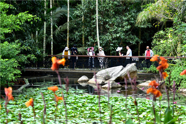 旅游景区明显苏复 三亚亚龙湾热带天堂景区人气逐步上升