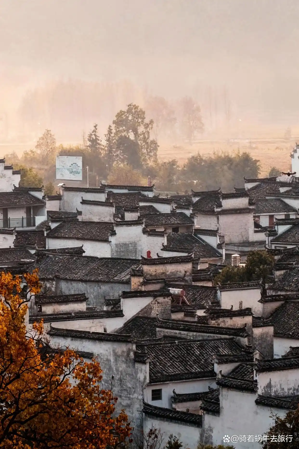皖南的秋色，真的是封神级的存在！杀疯了！