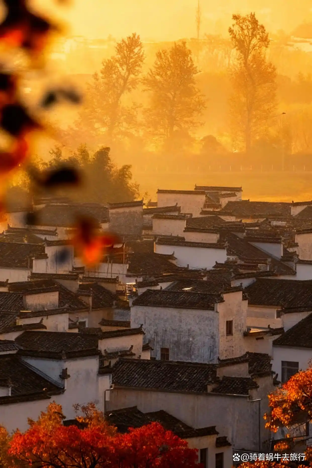 皖南的秋色，真的是封神级的存在！杀疯了！
