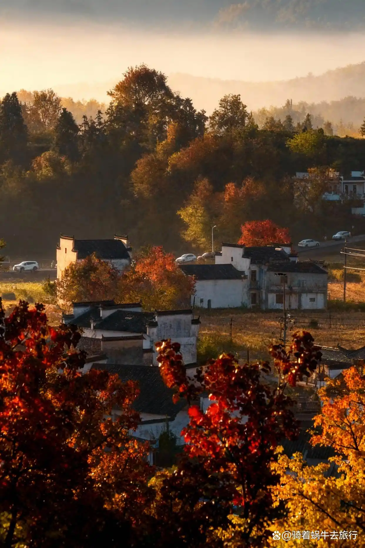 皖南的秋色，真的是封神级的存在！杀疯了！