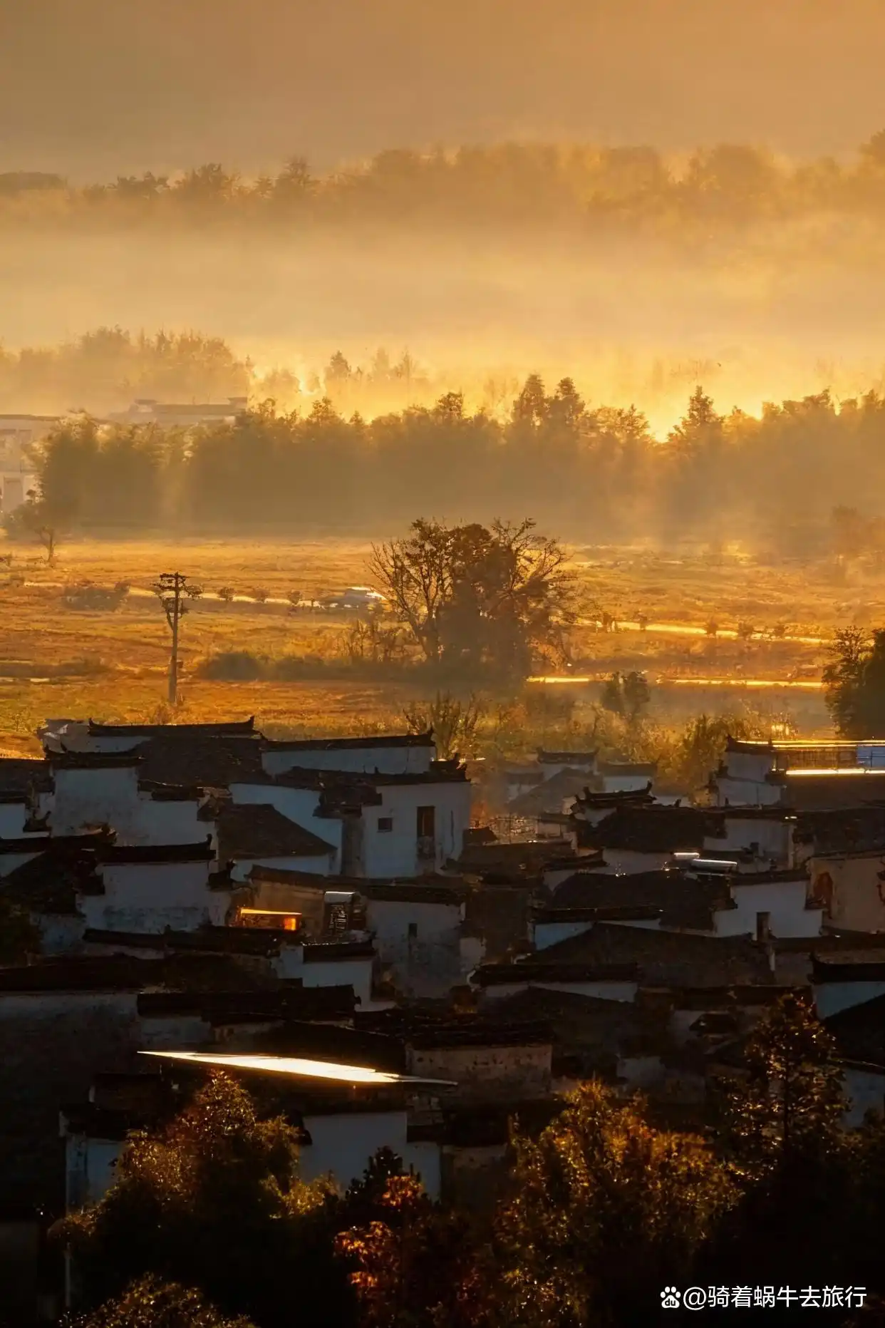 皖南的秋色，真的是封神级的存在！杀疯了！