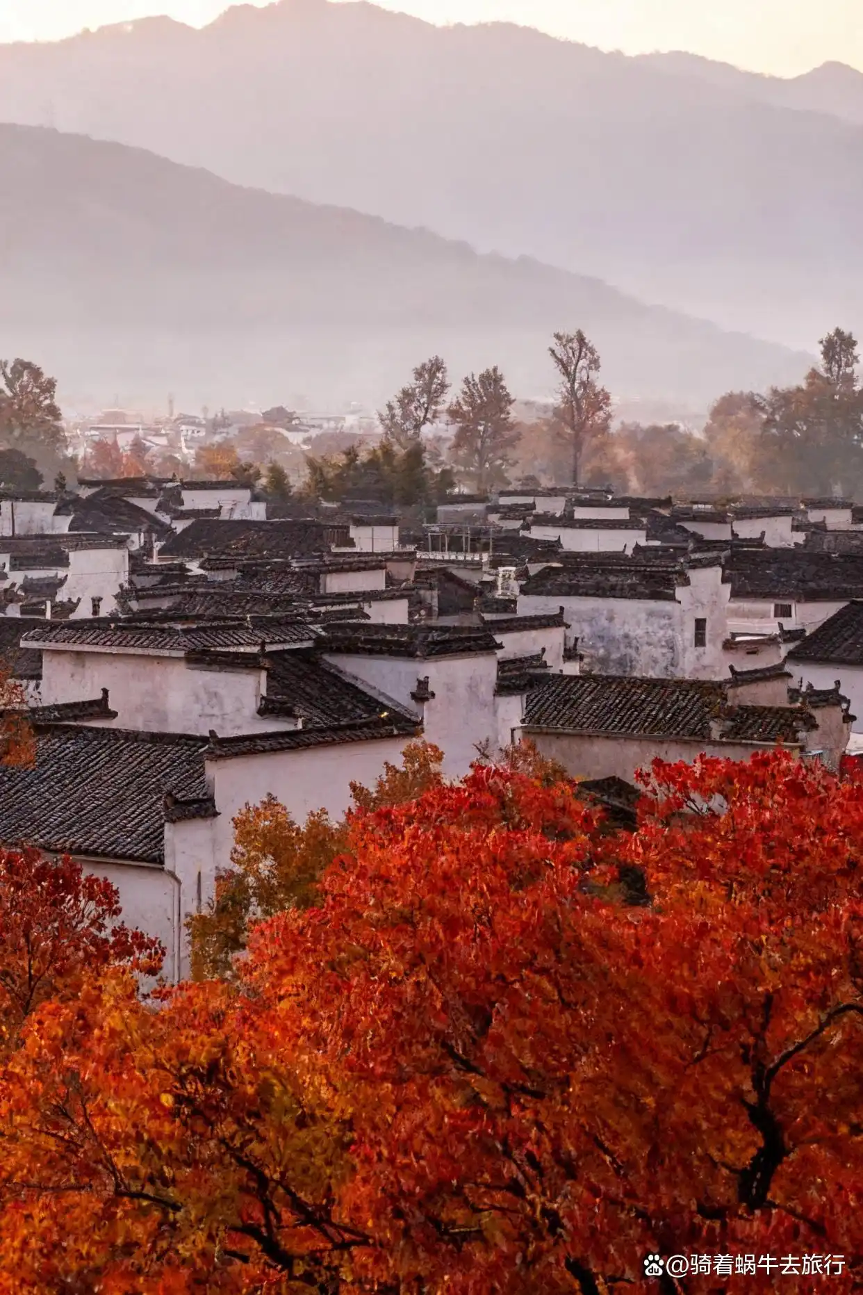 皖南的秋色，真的是封神级的存在！杀疯了！