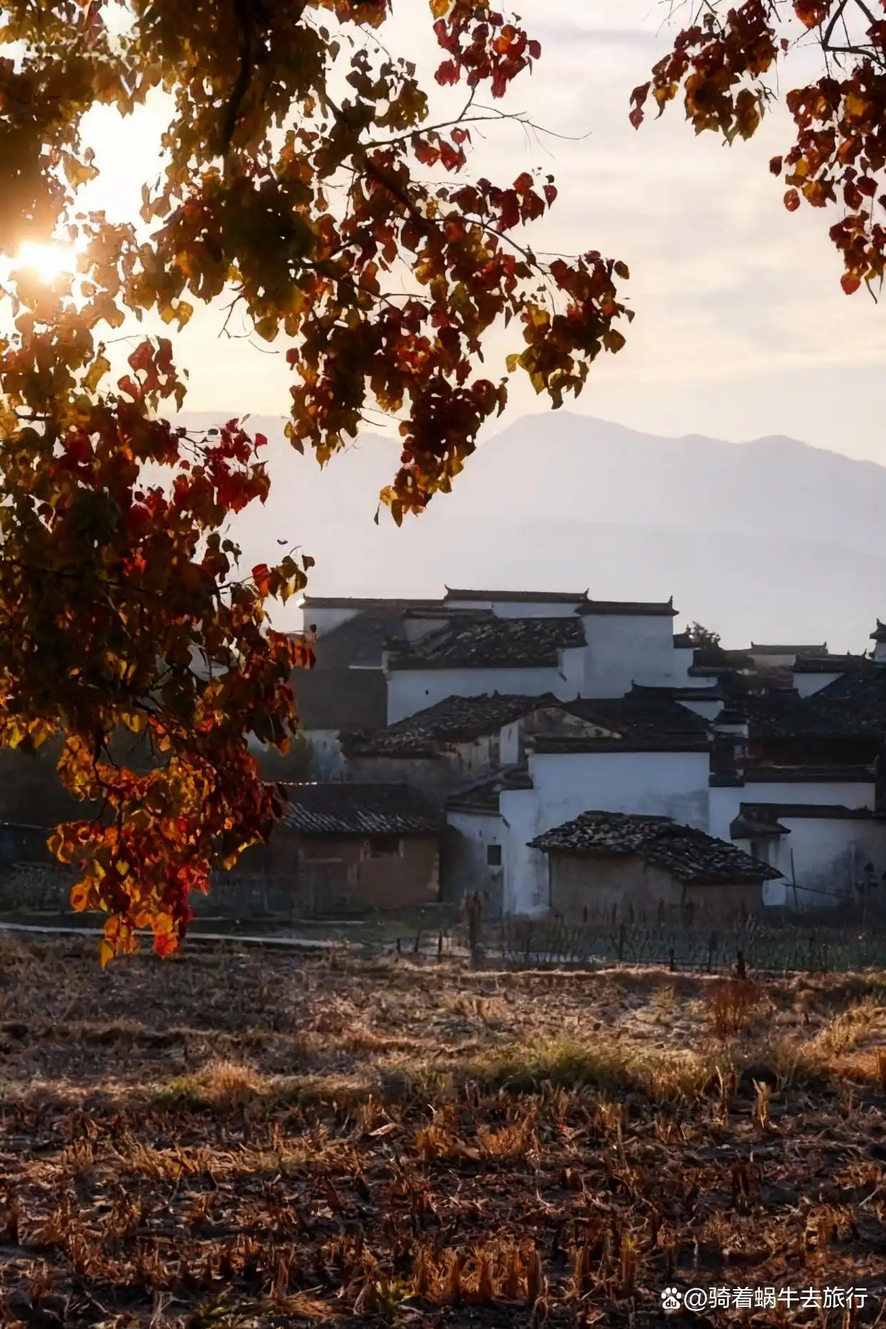 皖南的秋色，真的是封神级的存在！杀疯了！