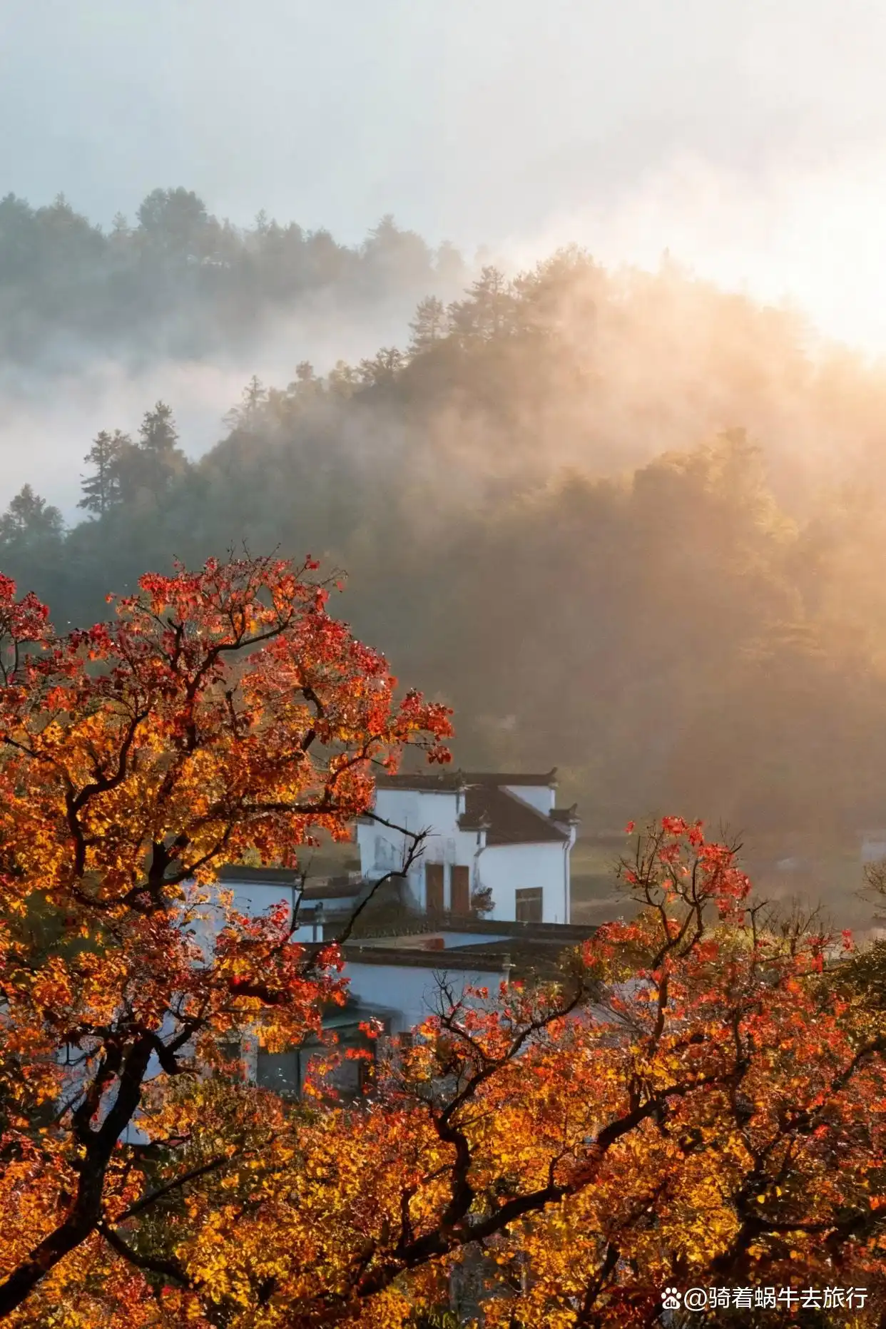 皖南的秋色，真的是封神级的存在！杀疯了！