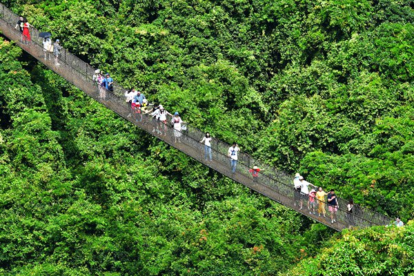 “十一”黄金周首日游客畅游三亚亚龙湾热带天堂森林旅游区