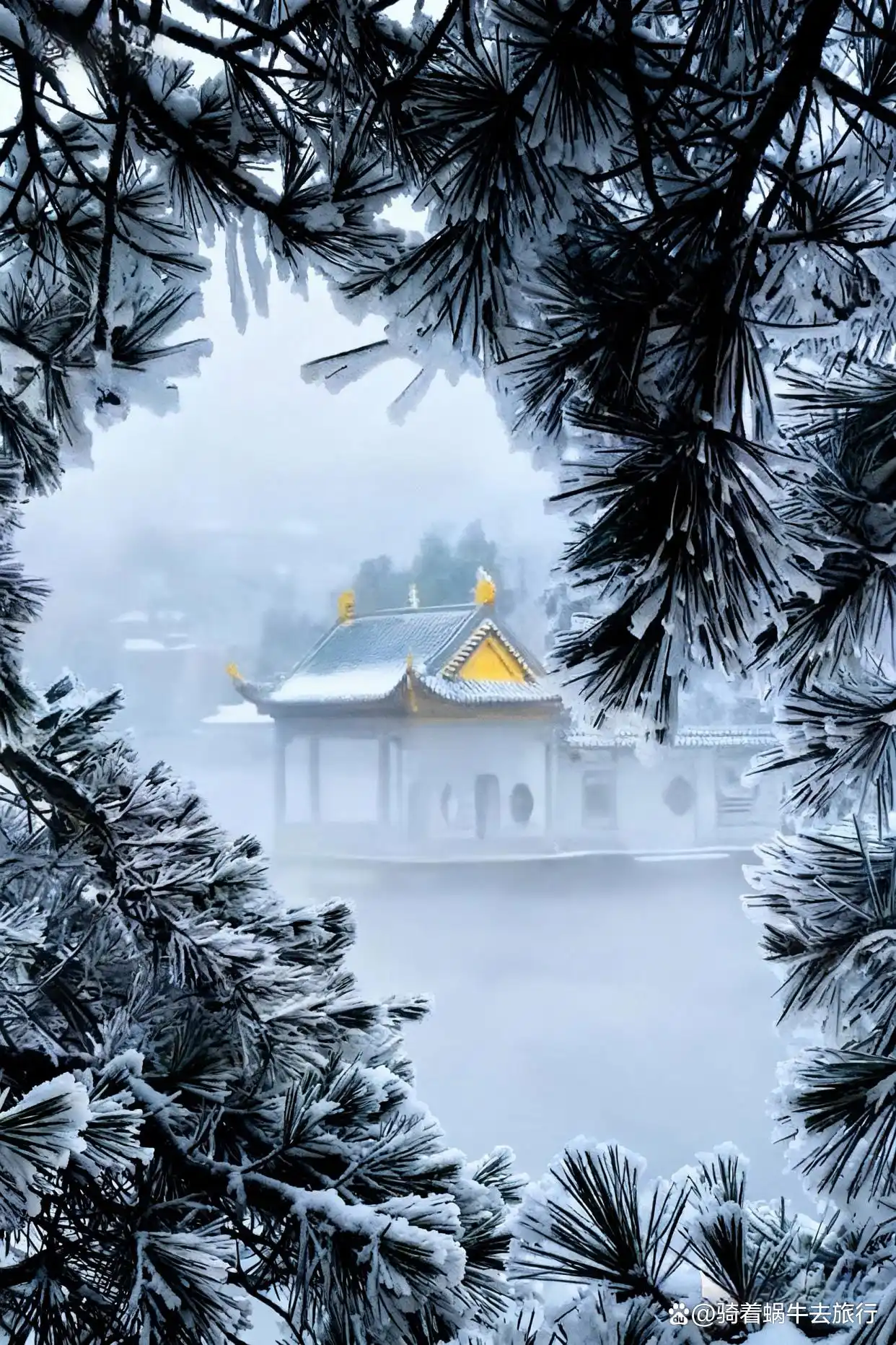 今年冬天一定要来庐山看雪！️