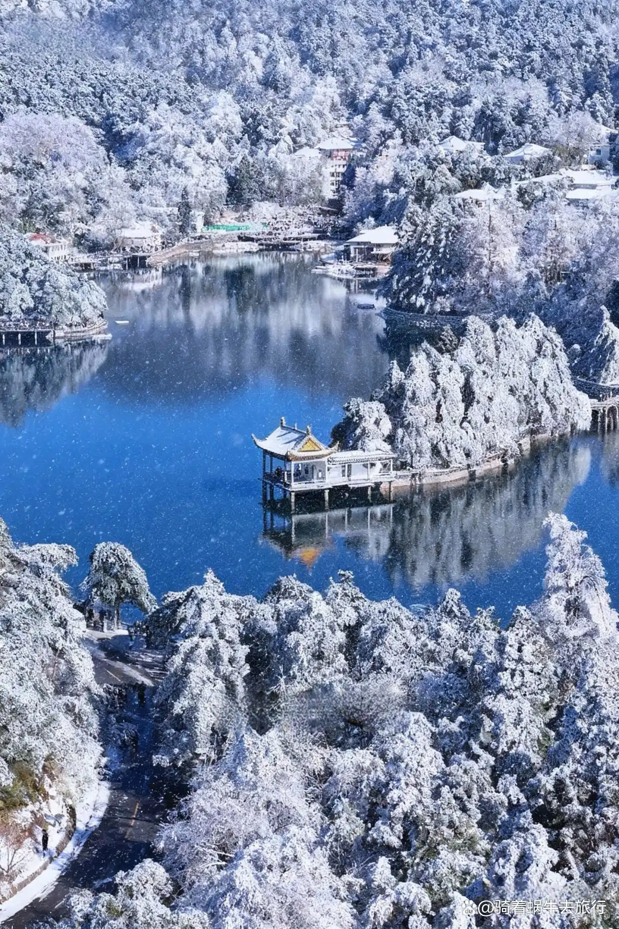 今年冬天一定要来庐山看雪！️