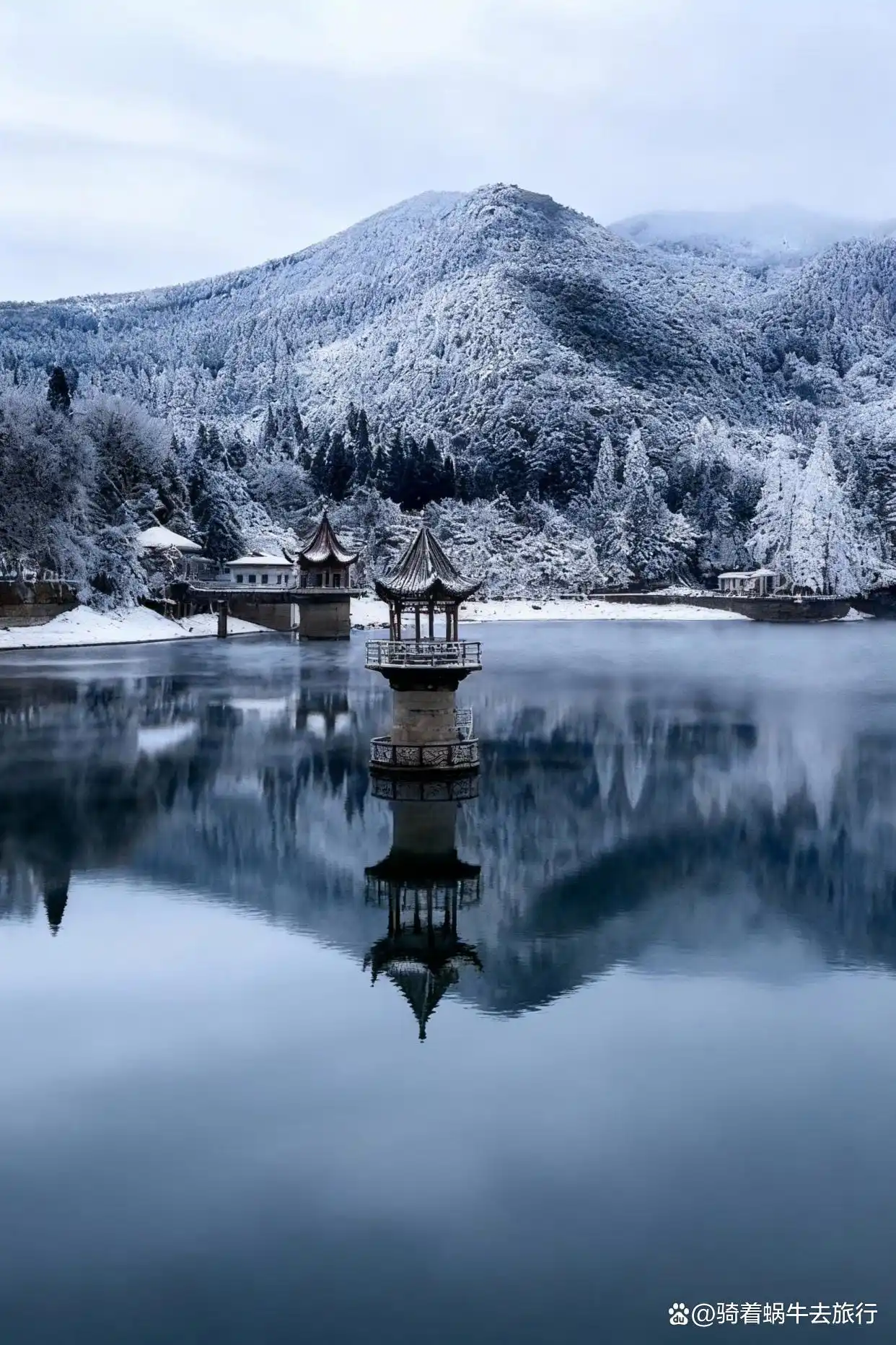 今年冬天一定要来庐山看雪！️