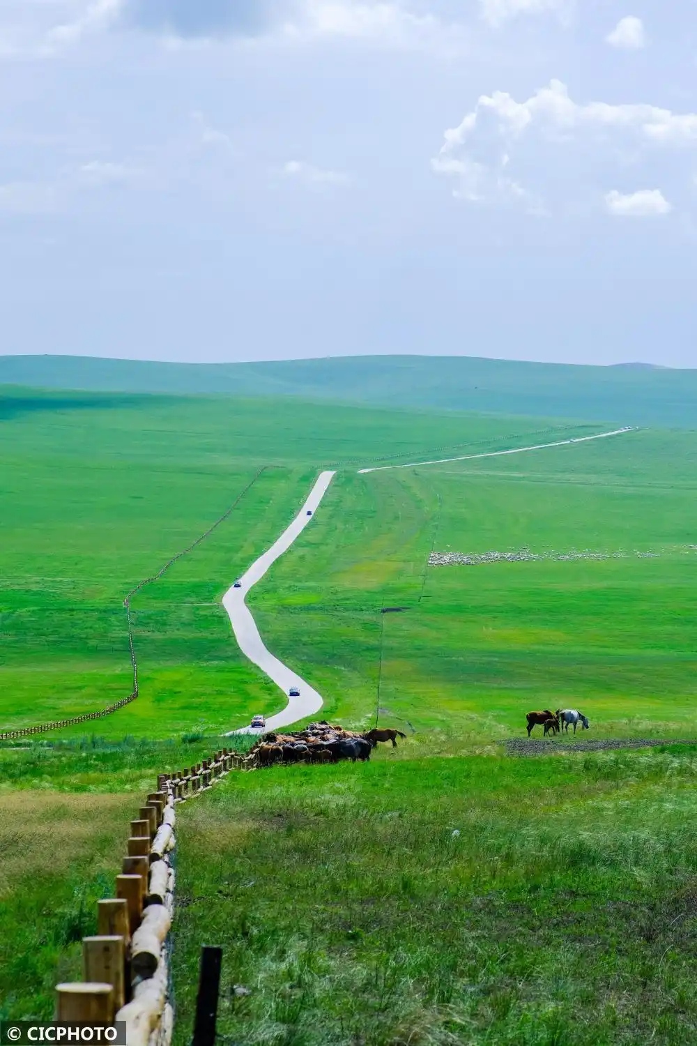内蒙古呼伦贝尔：夏日草原入画来