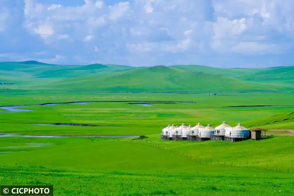 内蒙古呼伦贝尔：夏日草原入画来