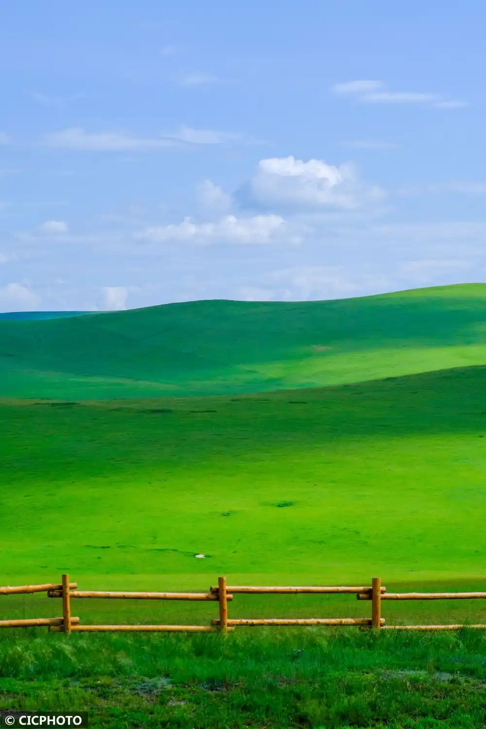 内蒙古呼伦贝尔：夏日草原入画来