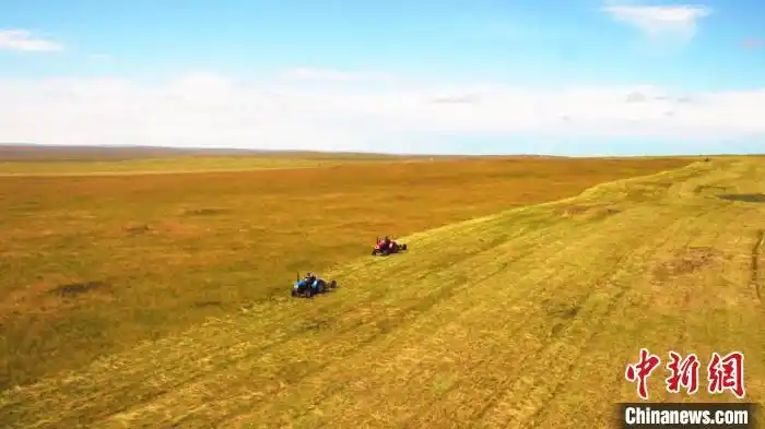 打牧草备“冬粮” 呼伦贝尔3000万亩打草场收割忙