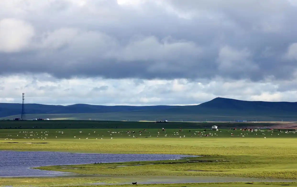 呼伦贝尔大草原的夏日美景
