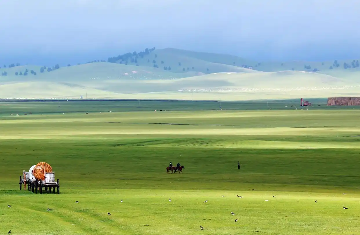 呼伦贝尔大草原的夏日美景