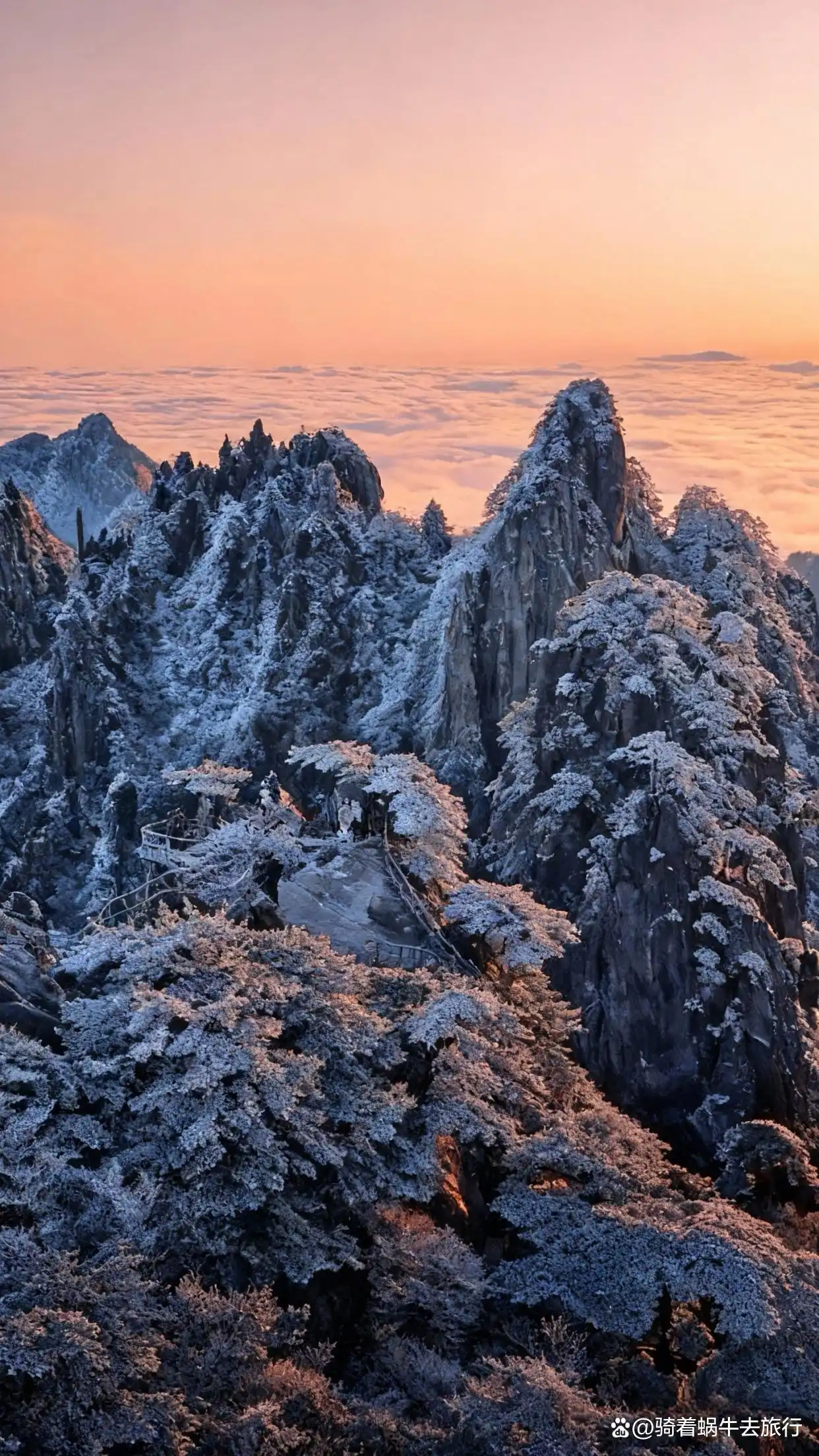 答应我，冬天一定要去黄山看雾凇和云海！