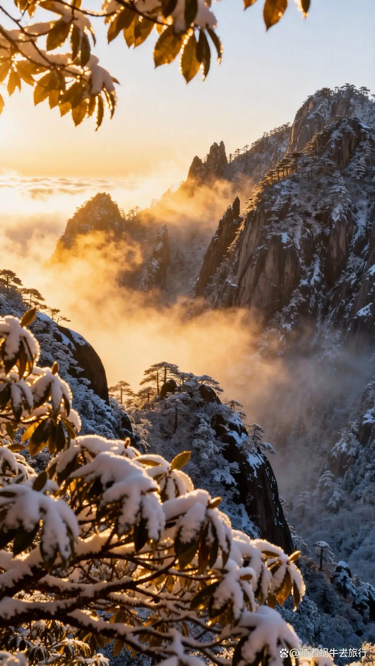 答应我，冬天一定要去黄山看雾凇和云海！