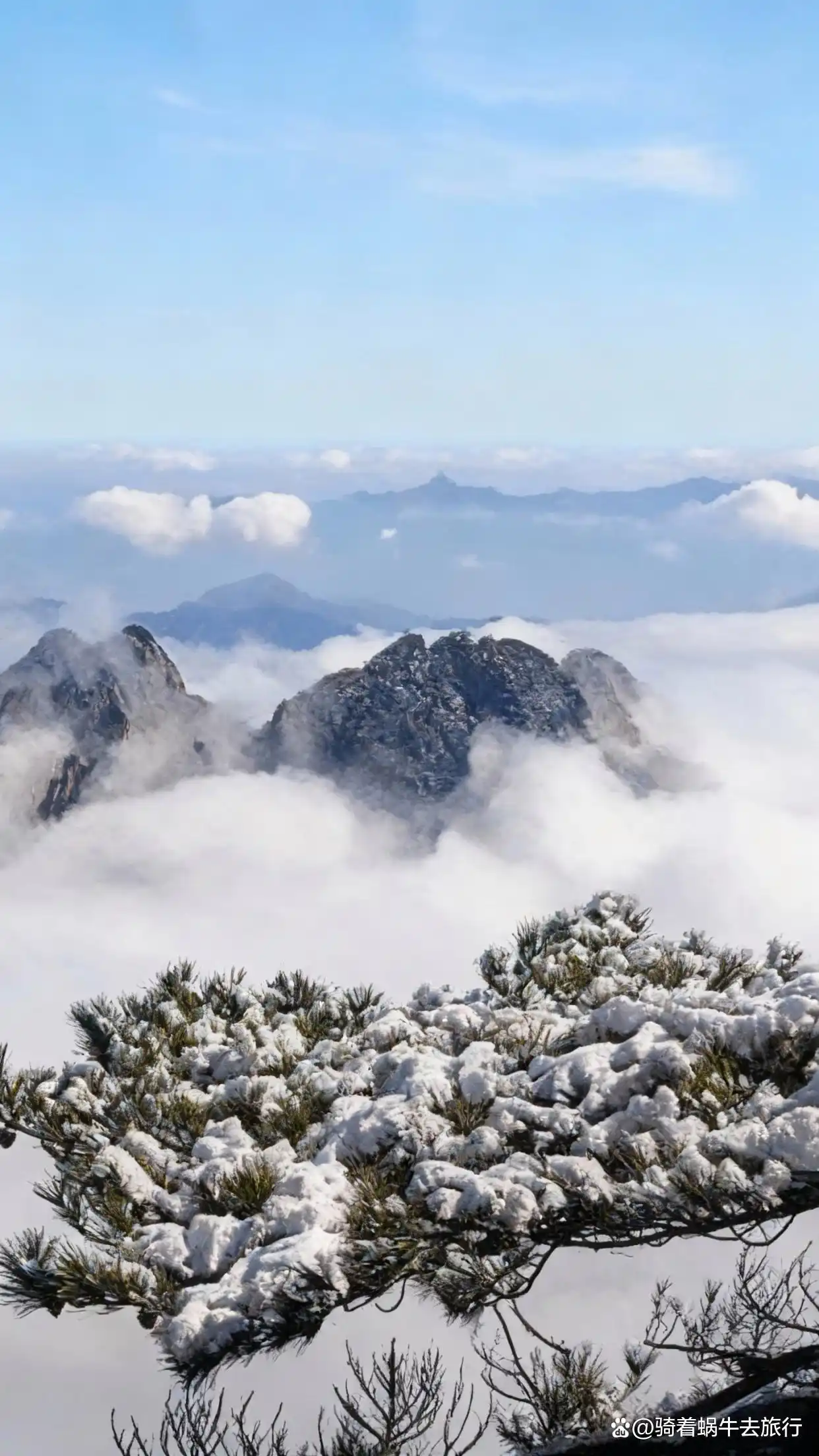 答应我，冬天一定要去黄山看雾凇和云海！
