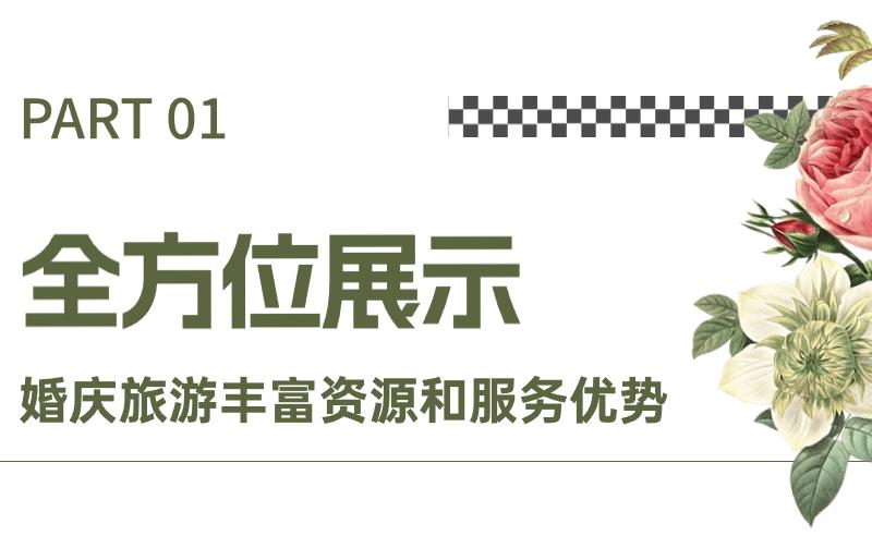 携手共创婚庆旅游新未来 海口婚旅产业招商推介会隆重举行