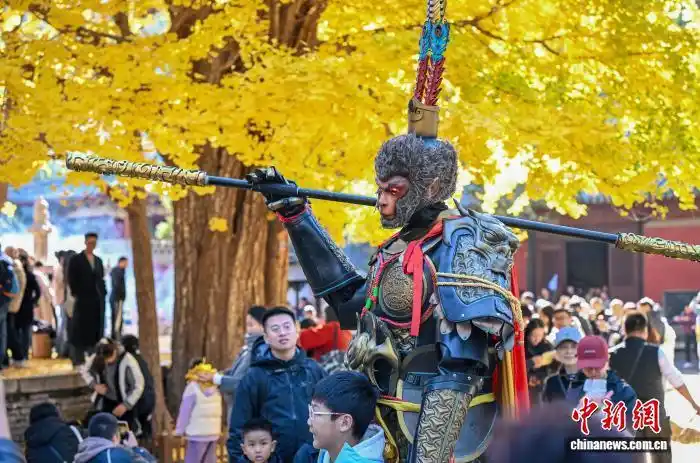 年轻人踏秋追求“情价比”！“悟空”陪游、云端赏叶，哪个是你的所爱→