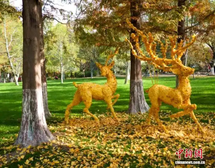 年轻人踏秋追求“情价比”！“悟空”陪游、云端赏叶，哪个是你的所爱→