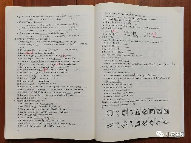 没上辅导班，五年级儿子成绩稳居前列，这12套教辅书很有用