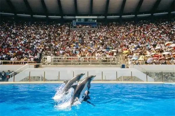 品艺文、享宁静、拾童趣，3680元起赴香港舒心之旅