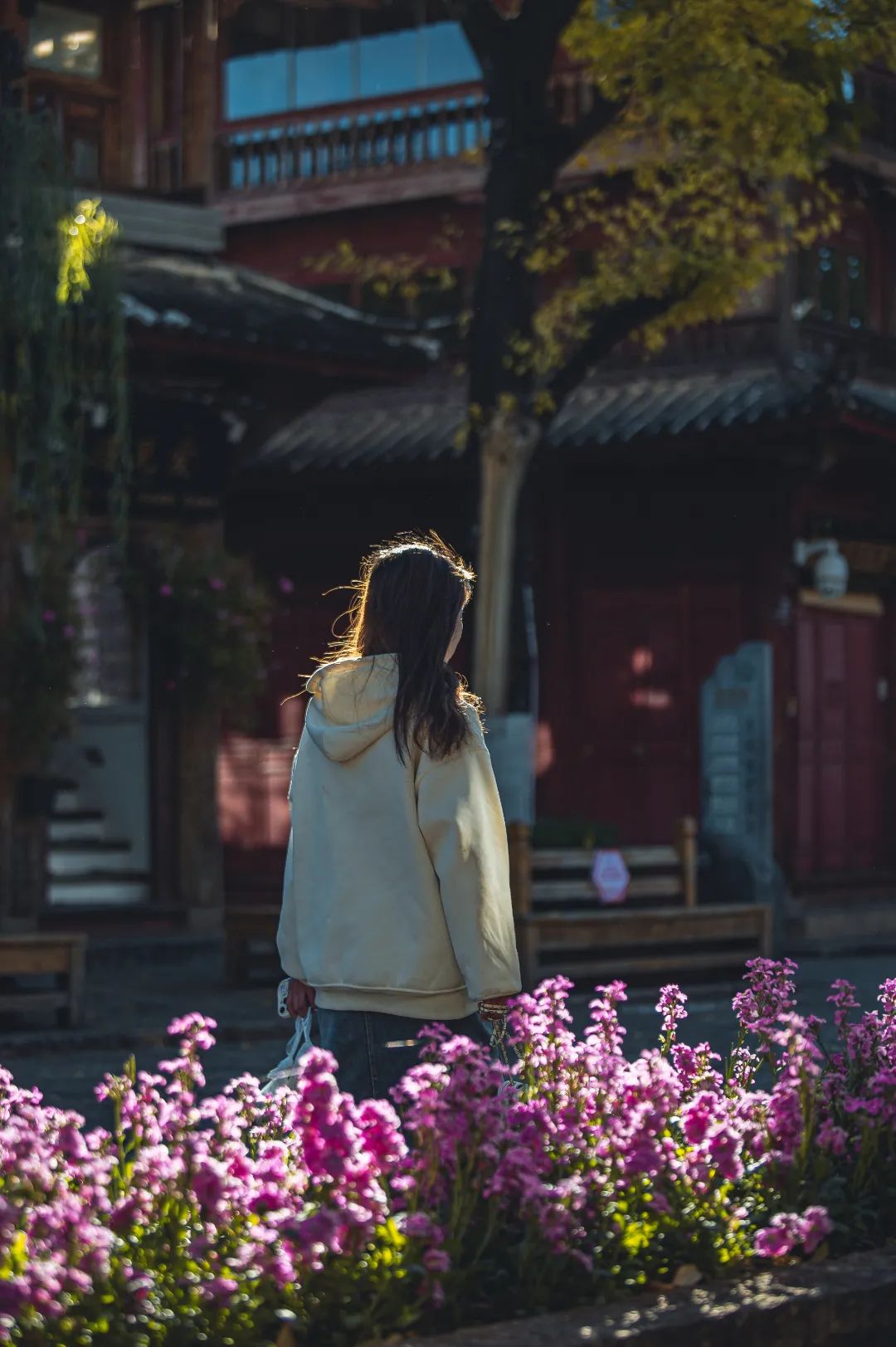 元旦小长假来袭，该来丽江古城了！