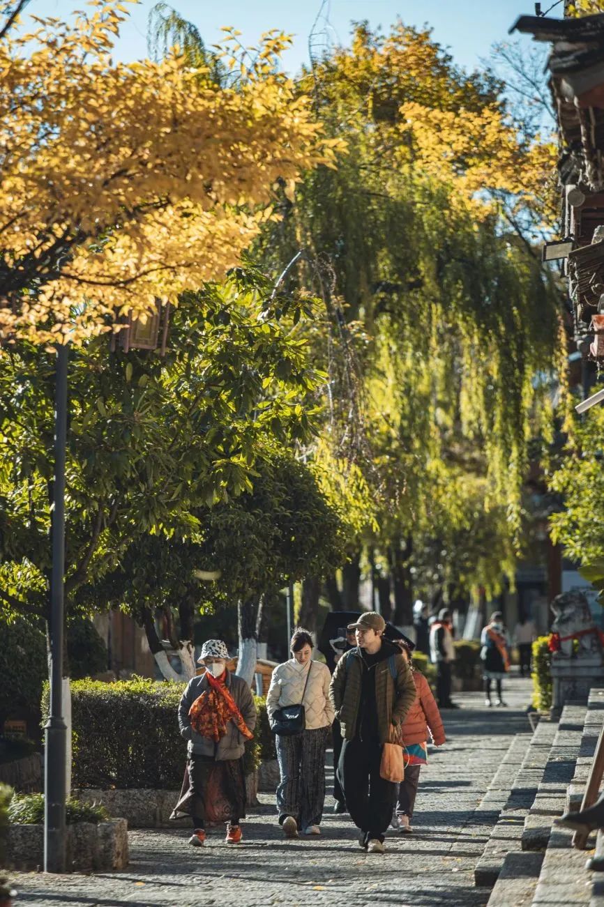 元旦小长假来袭，该来丽江古城了！
