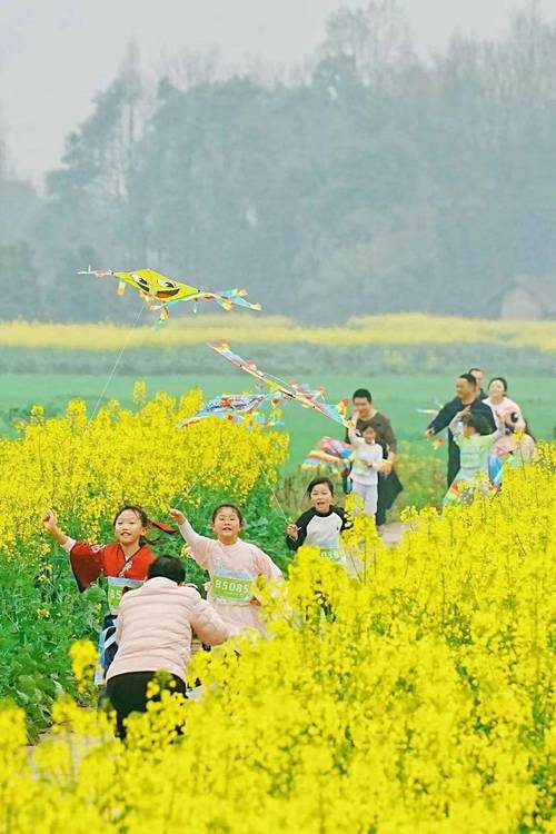 清明假期成都有多“热”？景点门票预订增长超2倍