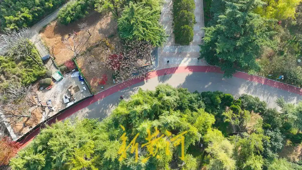 济南泉城公园新建2.4公里环形步道，如红色绸带串联起各个景点