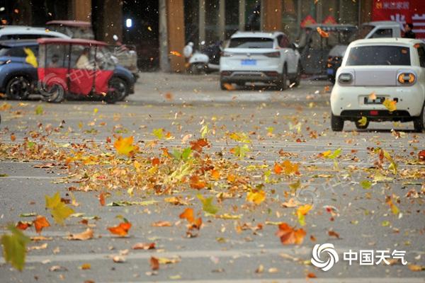 河南今明天将迎大风降温沙尘 中西部阵风可达9到10级