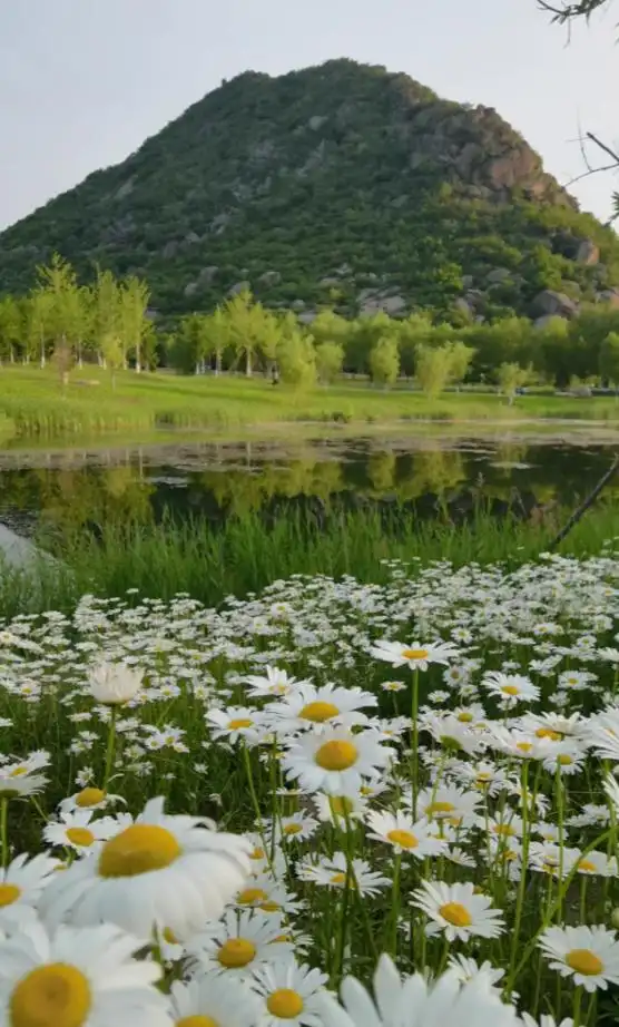 盘点济南网红打卡地，这么多网红景点，济南能成为网红城市吗