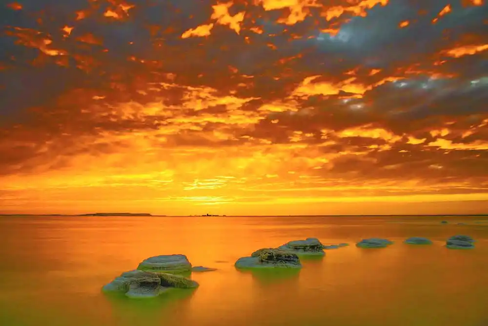 从“网红”到“长红”，不止一步之遥