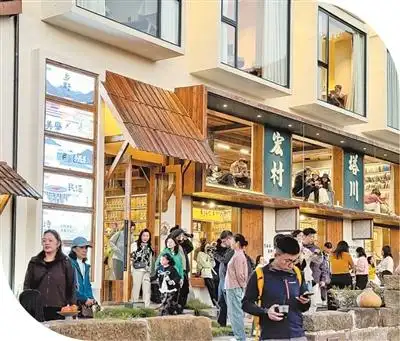 民宿扎根乡村肌理（新视窗·培育服务消费新增长点）