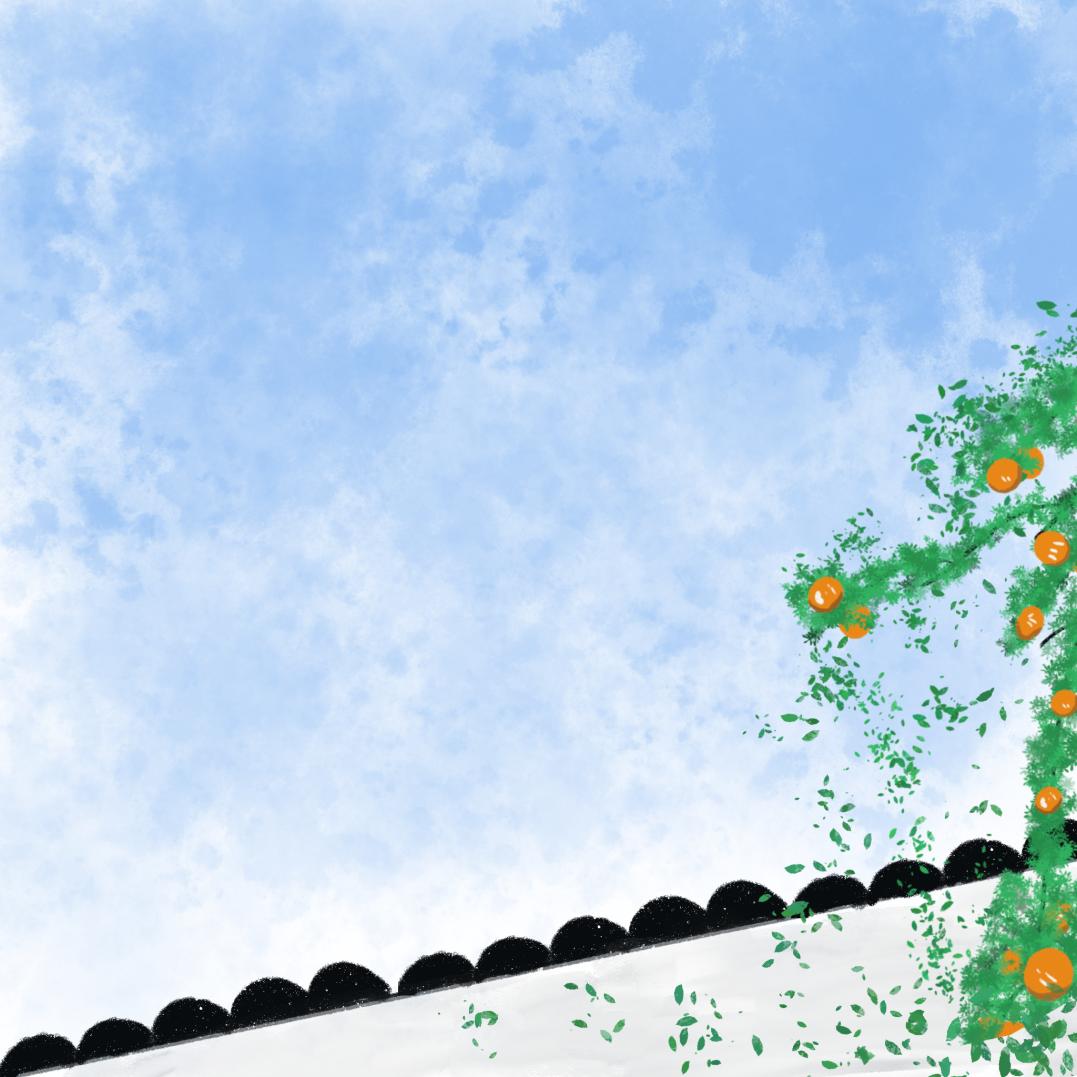 周末安排上！2条“金泽精品旅游线路”新鲜出炉→