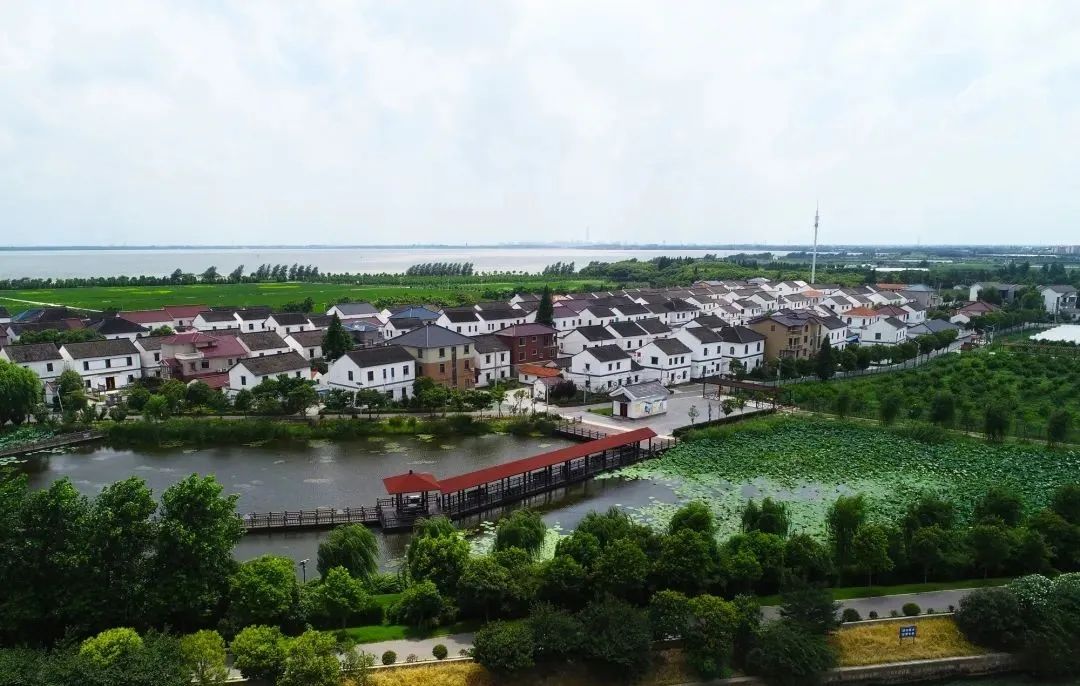 周末安排上！2条“金泽精品旅游线路”新鲜出炉→